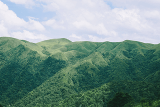 pexels-cz-jen-3774356-17717771_compressed_relative_080.png