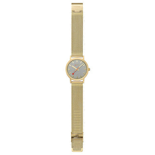 Classic, 40 mm, Good Gray Golden Stainless Steel Watch, A660.30314.80SBM, front view